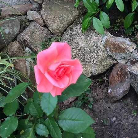 Le Gemme Διαμέρισμα Palau